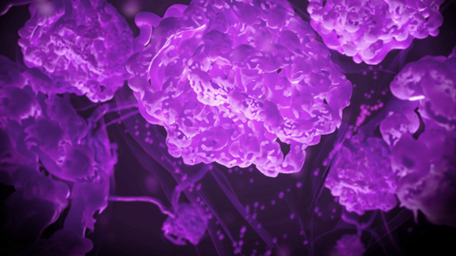 Abbildung der IgAN-Antikörper in violett