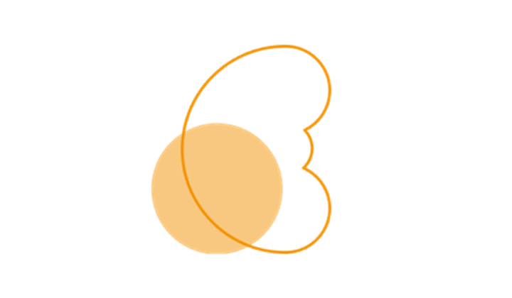 Icon Niere Icon Niere